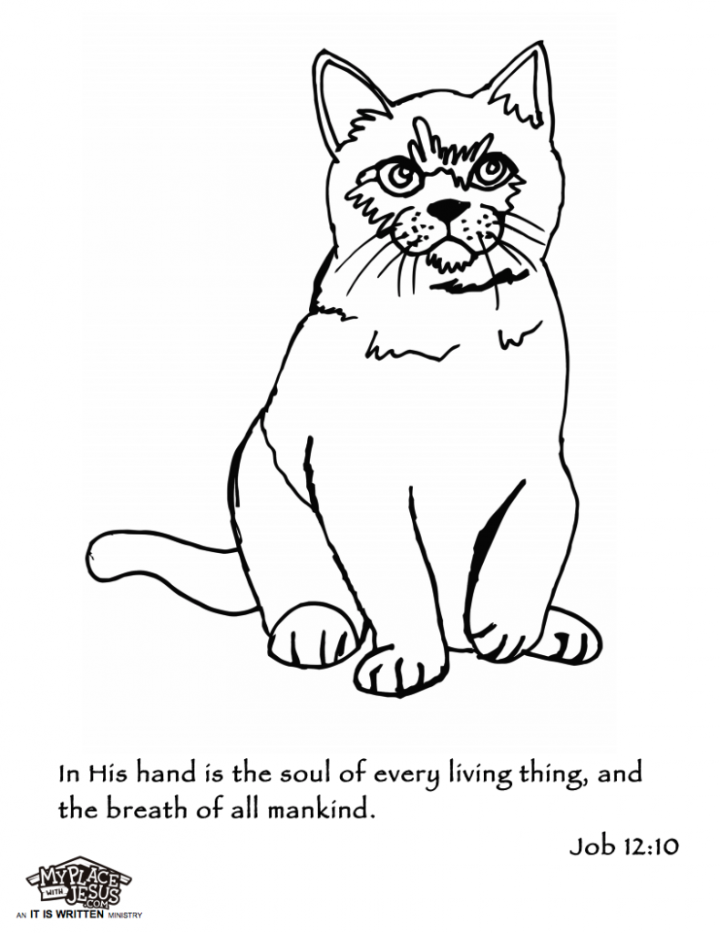 printable coloring page - cat