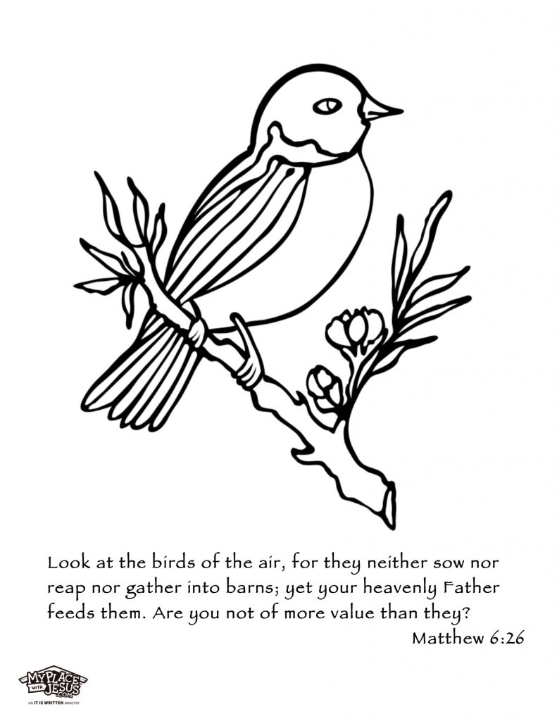 printable coloring page - bird on a branch