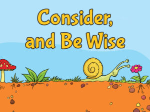 Consider and Be Wise