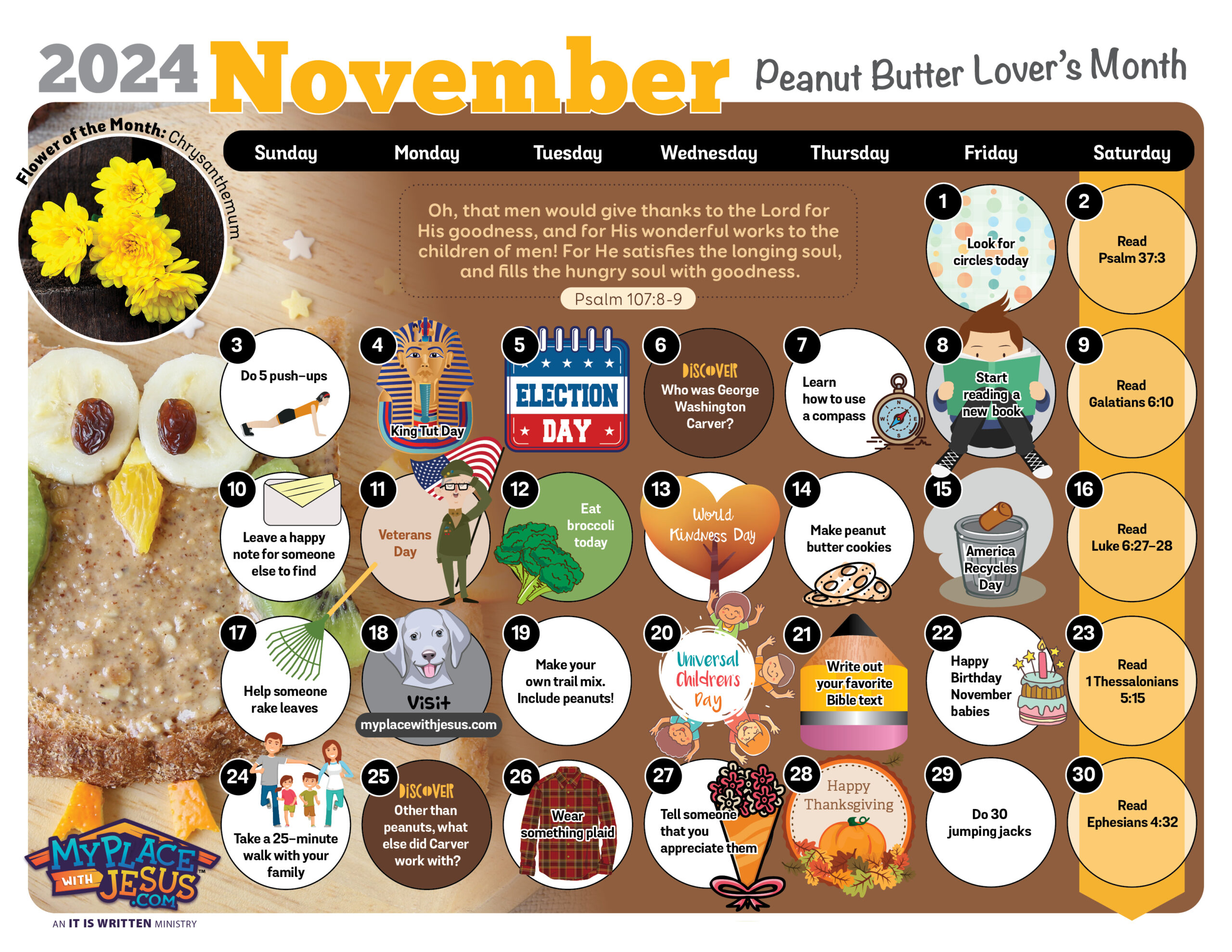 November 2024 Activity Calendar